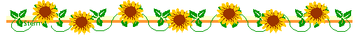 row of sunflowers.