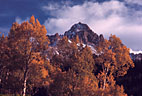 The last light of evening touches golden Aspens and warms the north face of Mount Sneffels.