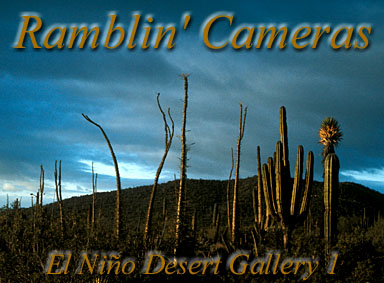 Stormy Skies over Baja California - El Nino Desert Gallery 1