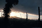 Low sun and storm filled skies and asterism in valida yucca.