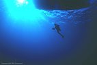 A scuba diver returns to the dive boat.