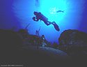 Evening silhouette of scuba diver over coral reef.