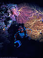 Scuba diver with gorgonians at the mouth of an underwater cave.