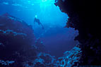 Scuba diver swims over the impressive topography of Astrolabe Reef, Fiji