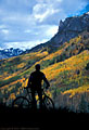 Mountain biker admires fall colors at the Falls Creek Overlook, Camp Bird Road.