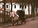 Horse and carriage with traditional trappings, historic Suzdal on Moscow's Golden Ring.