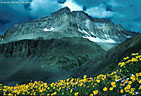 Gilpin Peak and yellow composites in Yankee Boy Basin, Sneffels Range.