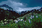 Storm builds over Gilpin Peak, from Yankee Boy Basin in the Sneffels Range.