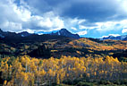 Aspens in fall colors in Beaver Creek Valley, from Ouray County Road 7.