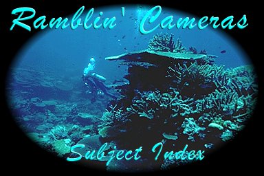 Scuba Diver and Coral Garden - Taveuni, Fiji